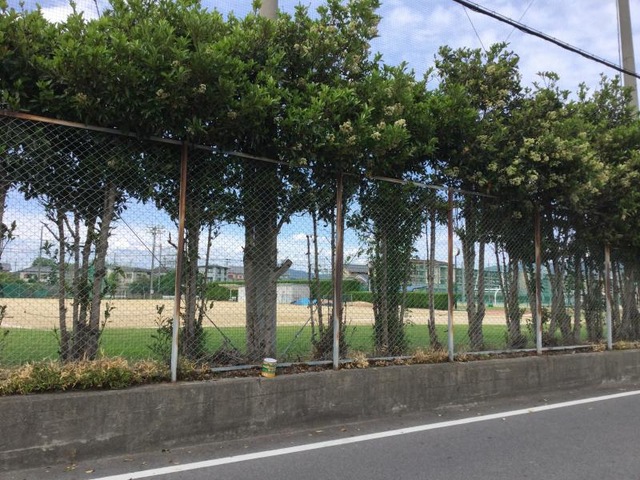 施設写真41