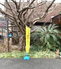 長府やぶそば