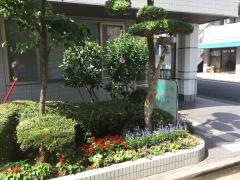 きくち眼科