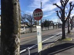 「曼陀羅寺」バス停留所