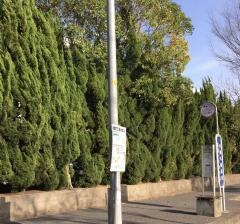 「京都八幡高校」バス停留所
