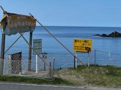 青井浜ワンワンビーチ