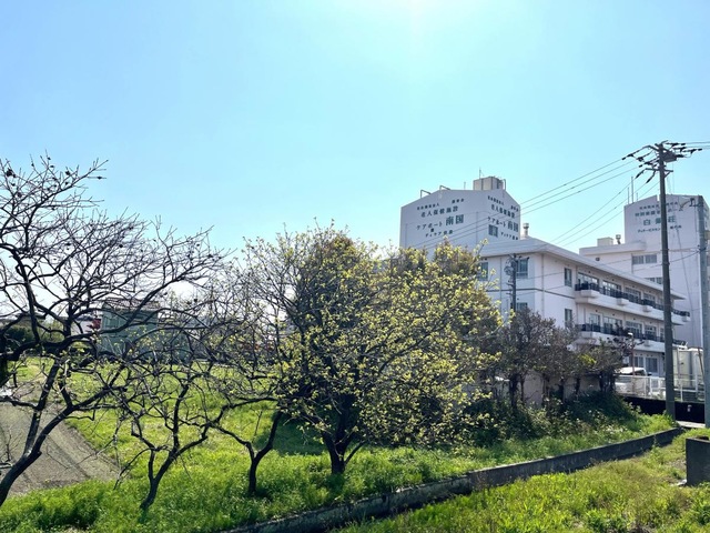 介護老人保健施設　ケアポート南国 建物全景