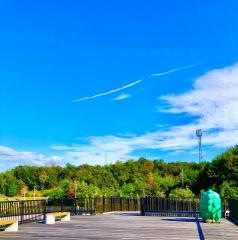 瀬戸万博記念公園