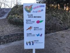 勤行緑地