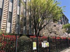 京都光華女子大学短期大学部