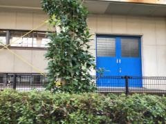 古町小学校