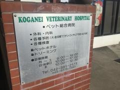 小金井獣医科病院