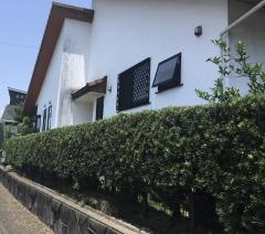 なぎの木整体