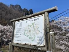 群馬県さくらの里