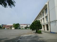 新城小学校