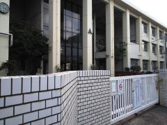 新城小学校