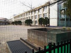 新城小学校