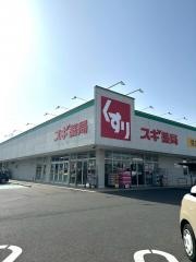 スギ薬局　蟹江店