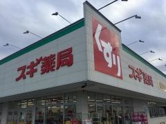 スギ薬局　蟹江店