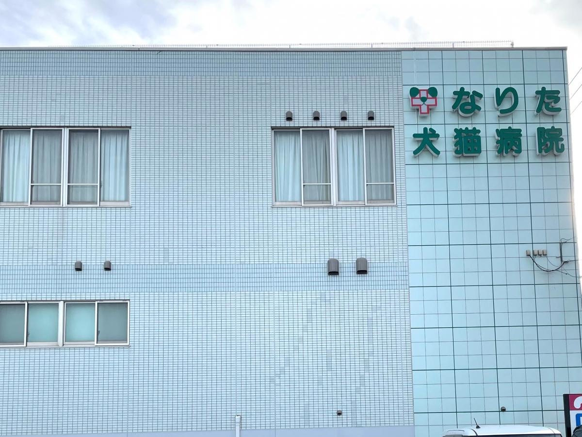 なりた犬猫病院