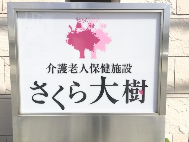 さくら大樹