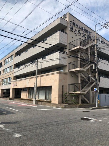 さくら大樹