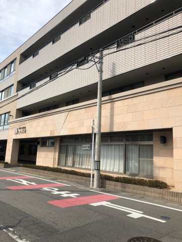 さくら大樹