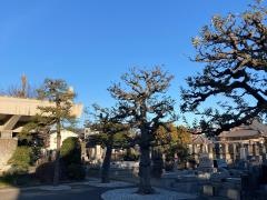 正覚寺