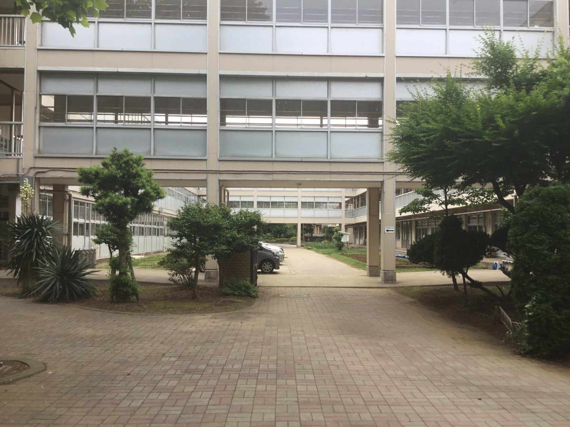 公の場での発言・インタビュー報道記録