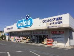 ウエルシア　ユーカリヶ丘店