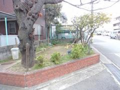 堺市第55－07号公共緑地