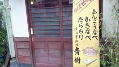 青樹