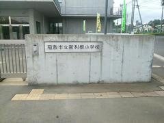 新利根小学校