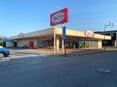 ザ・ダイソー　大網店