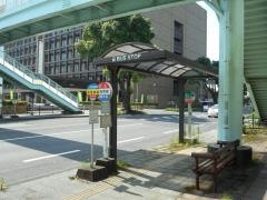 「市役所前(都城市)」バス停留所