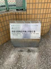中延小学校