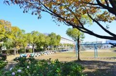 小高原小学校