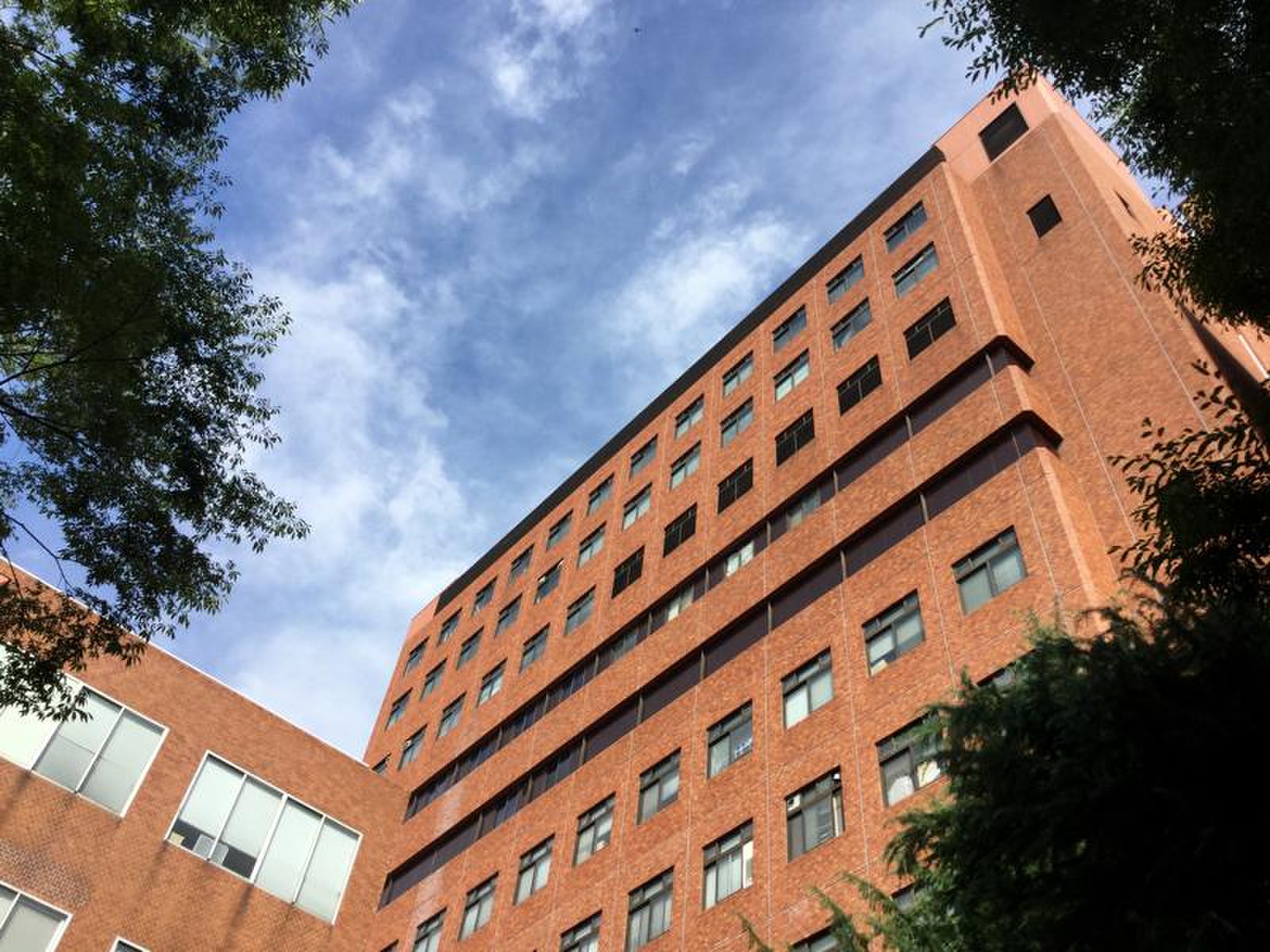 公の場での発言・インタビュー報道記録