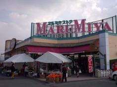 マルミヤストア秋津店