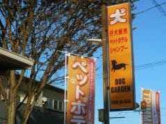ＤＯＧＧＡＲＤＥＮ