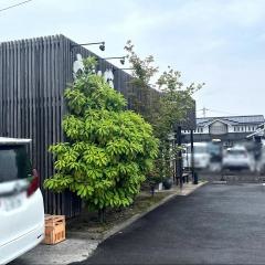 うどん坊かがみの