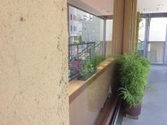 たかの
