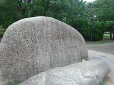 キャンベルタウン公園（鷺高第五公園）