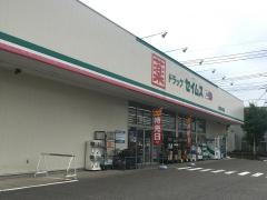 ドラッグセイムス　太田南矢島店