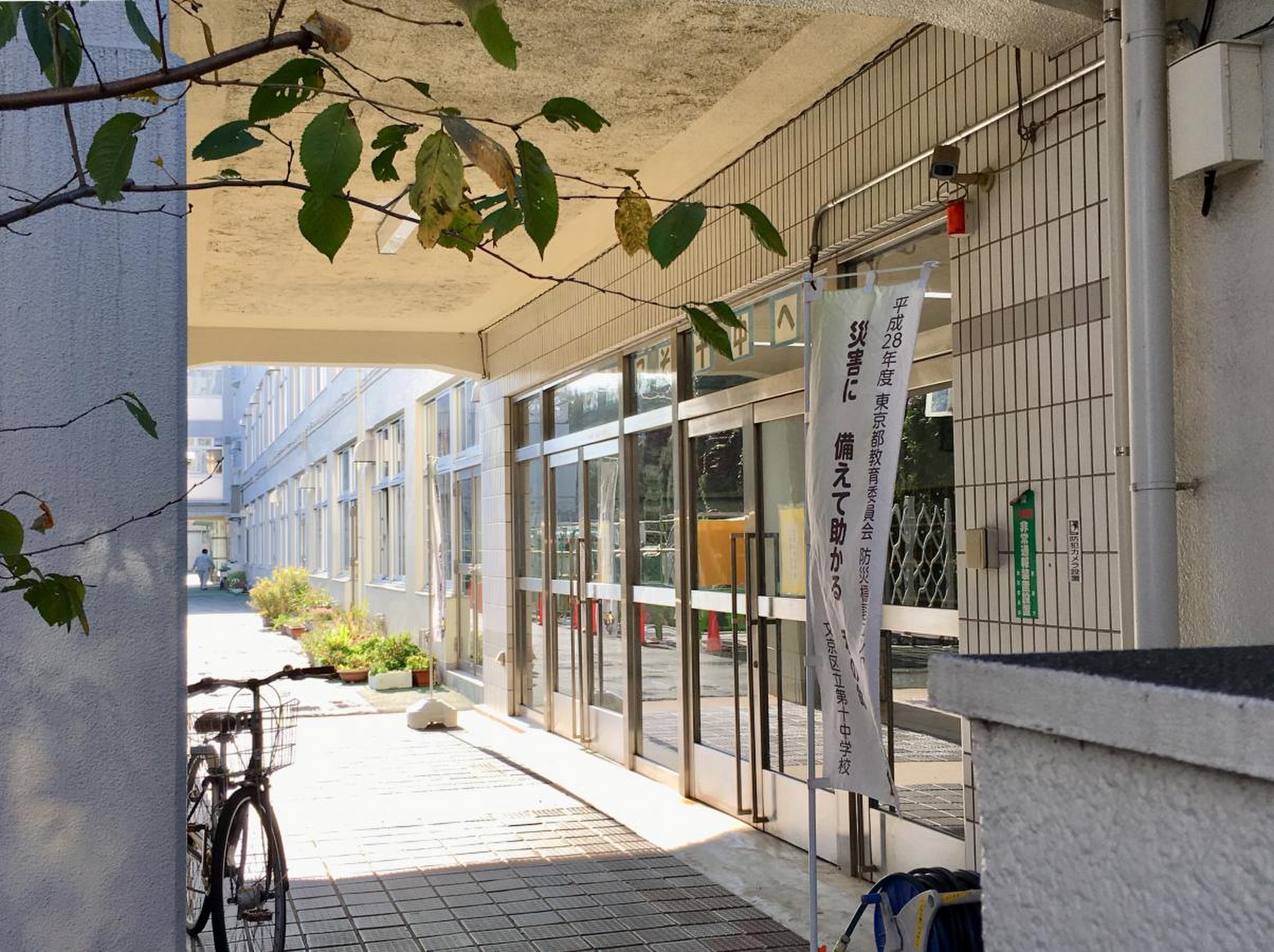 文京 区立 第 十 中学校