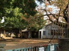 平塚幼稚園