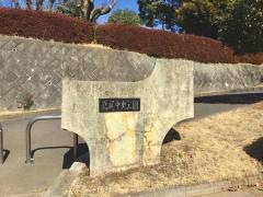 鳶尾中央公園