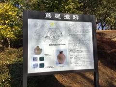 鳶尾中央公園