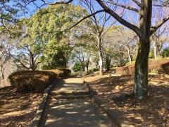鳶尾中央公園