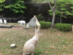 奥びわ湖パークウェイ