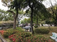 奥びわ湖パークウェイ
