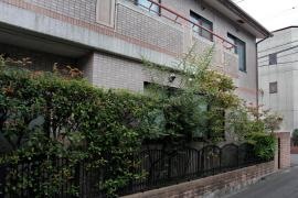 イワタ医院