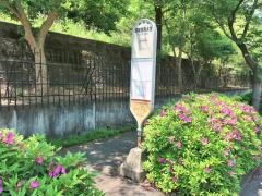 「昭和薬科大学」バス停留所