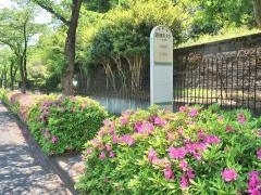 「昭和薬科大学」バス停留所